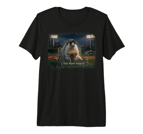 Funny Hedgehog Ballfield Baseball Field T-Shirt - Trendy Graphic Men Women - T-Shirt, Sweatshirt, Hoodie