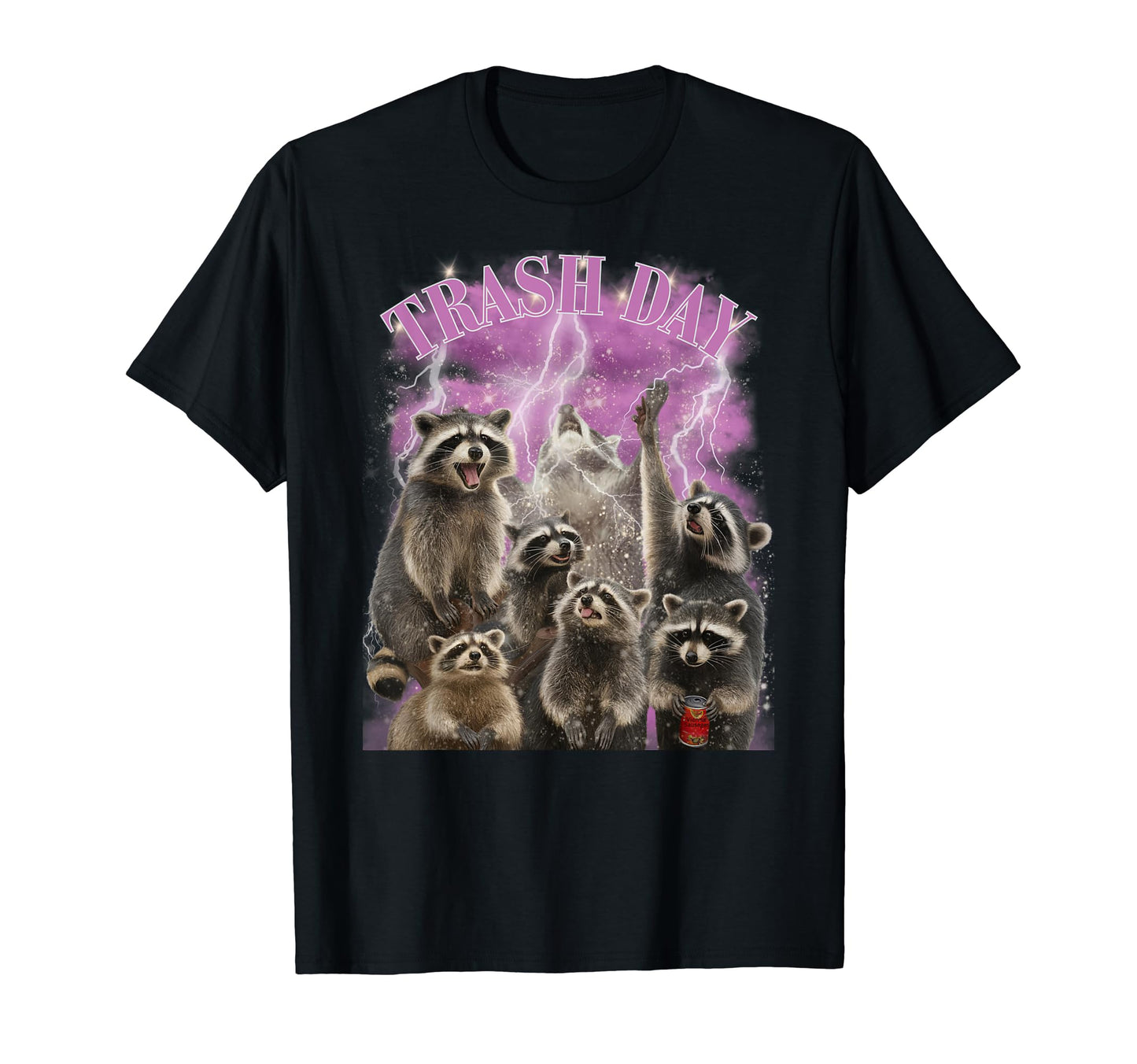 Racoon Meme 90S Rock Inspired Grunge Band T-Shirt - Minimalist Print Unisex - T-Shirt, Sweatshirt, Hoodie