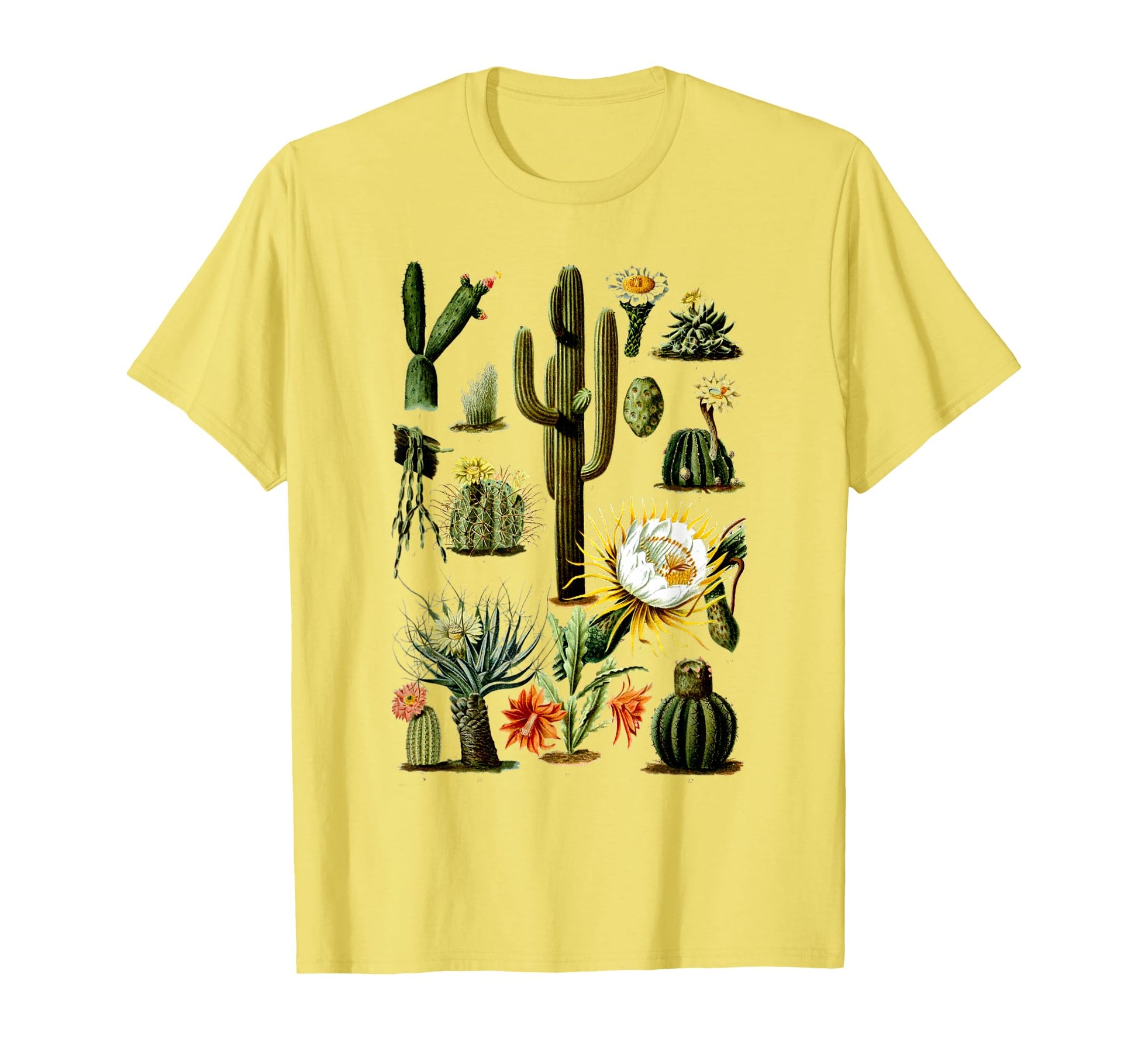 70S Boho Botany Botanical Cactus T-Shirt - Graphic Print for Adults - T-Shirt, Sweatshirt, Hoodie