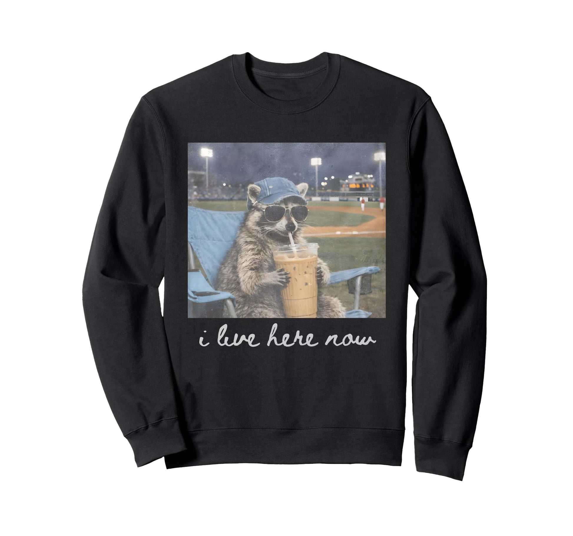 Funny Ballfield Baseball Raccoon Sweatshirt - Fun Novelty Design Men Women - T-Shirt, Sweatshirt, Hoodie