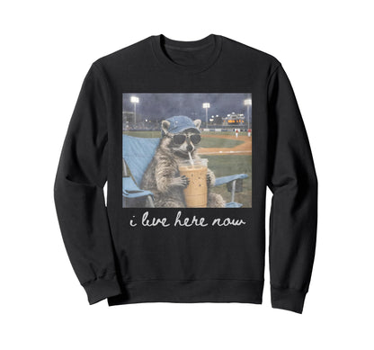 Funny Ballfield Baseball Raccoon Sweatshirt - Fun Novelty Design Men Women - T-Shirt, Sweatshirt, Hoodie