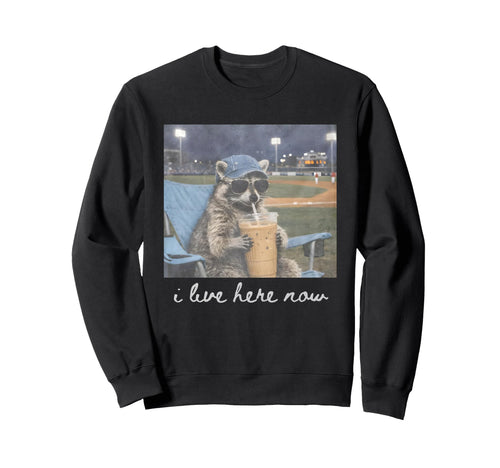 Funny Ballfield Baseball Raccoon Sweatshirt - Fun Novelty Design Men Women - T-Shirt, Sweatshirt, Hoodie