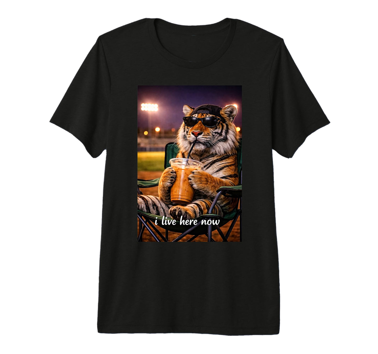 Funny Tiger Ballfield Baseball Field I T-Shirt - Trendy Graphic Unisex - T-Shirt, Sweatshirt, Hoodie