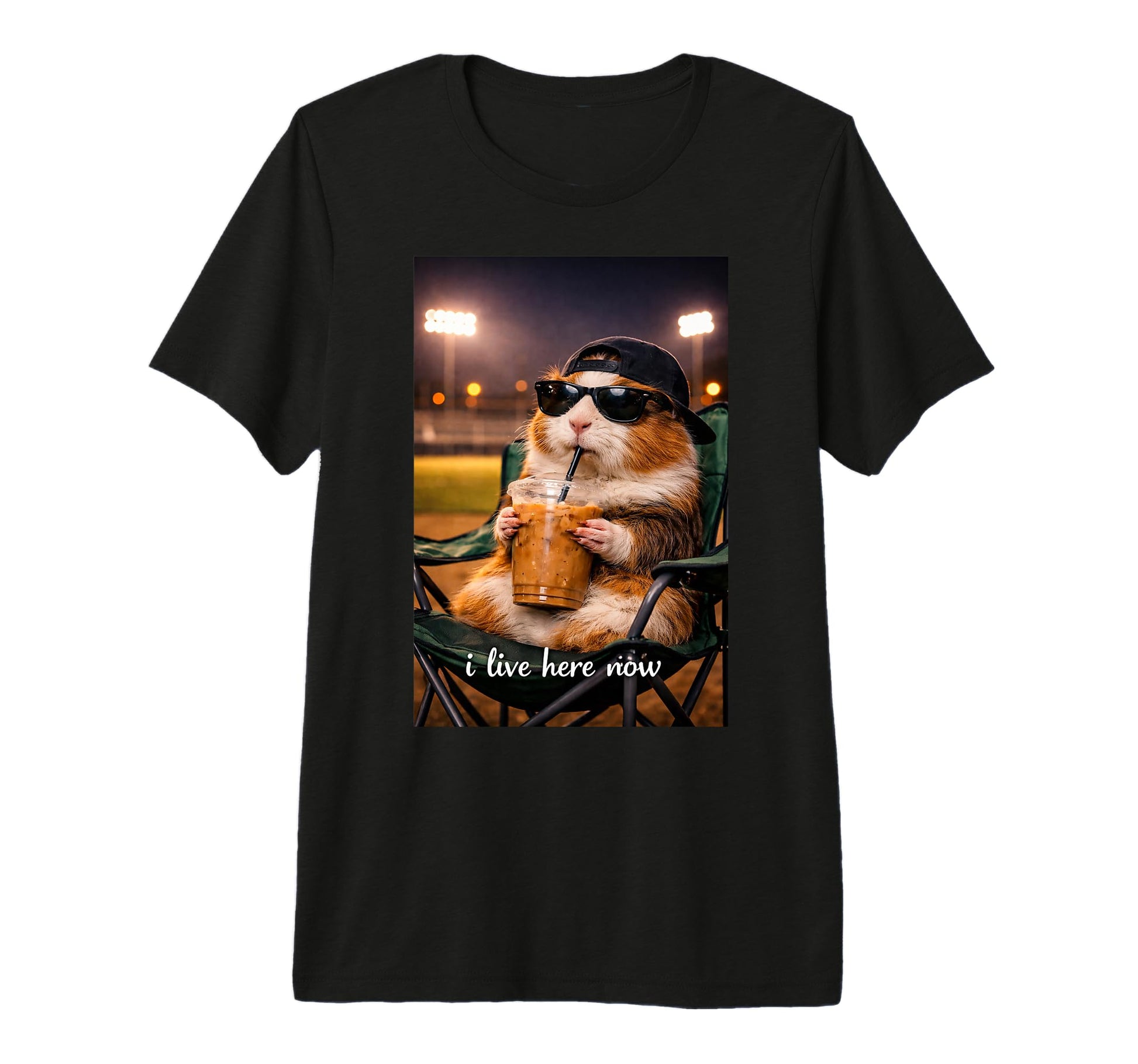 Funny Guinea Pig Ballfield Baseball T-Shirt - Graphic Print for Adults - T-Shirt, Sweatshirt, Hoodie
