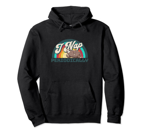 I Nap Periodically Funny Rainbow Sloth Hoodie - Streetwear Style Unisex - T-Shirt, Sweatshirt, Hoodie