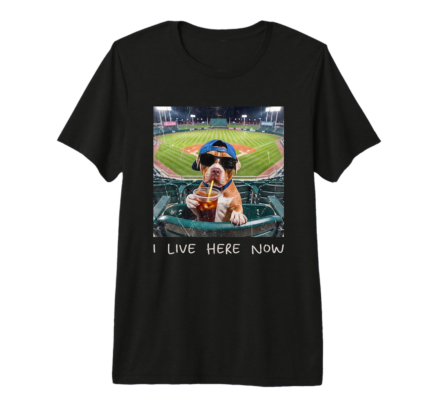 I Live Here Now Funny Pitbull Funny T-Shirt - Fun Novelty Design Unisex - T-Shirt, Sweatshirt, Hoodie