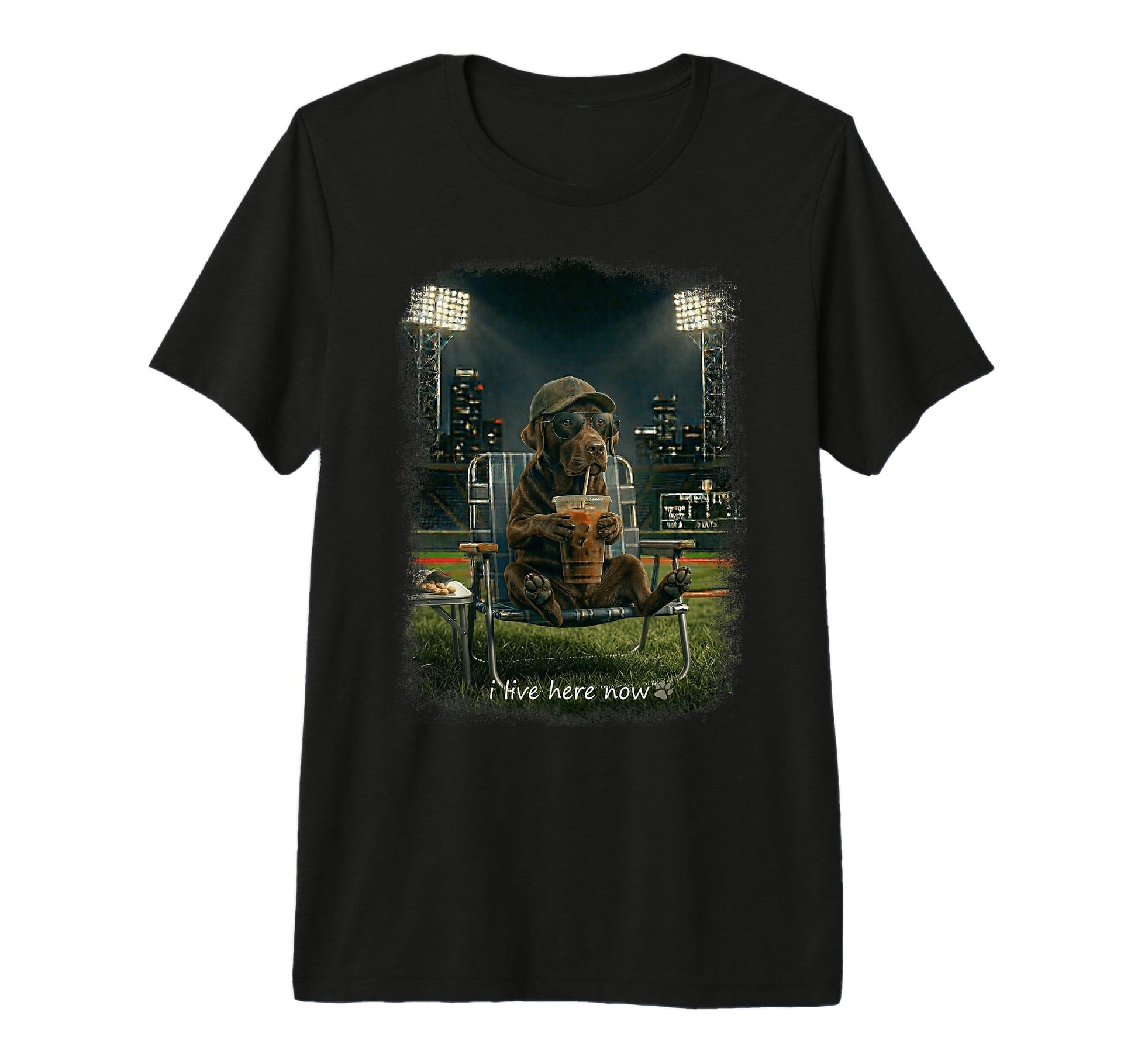 Labrador Retriever Ballfield Baseball T-Shirt - Trendy Graphic Unisex - T-Shirt, Sweatshirt, Hoodie