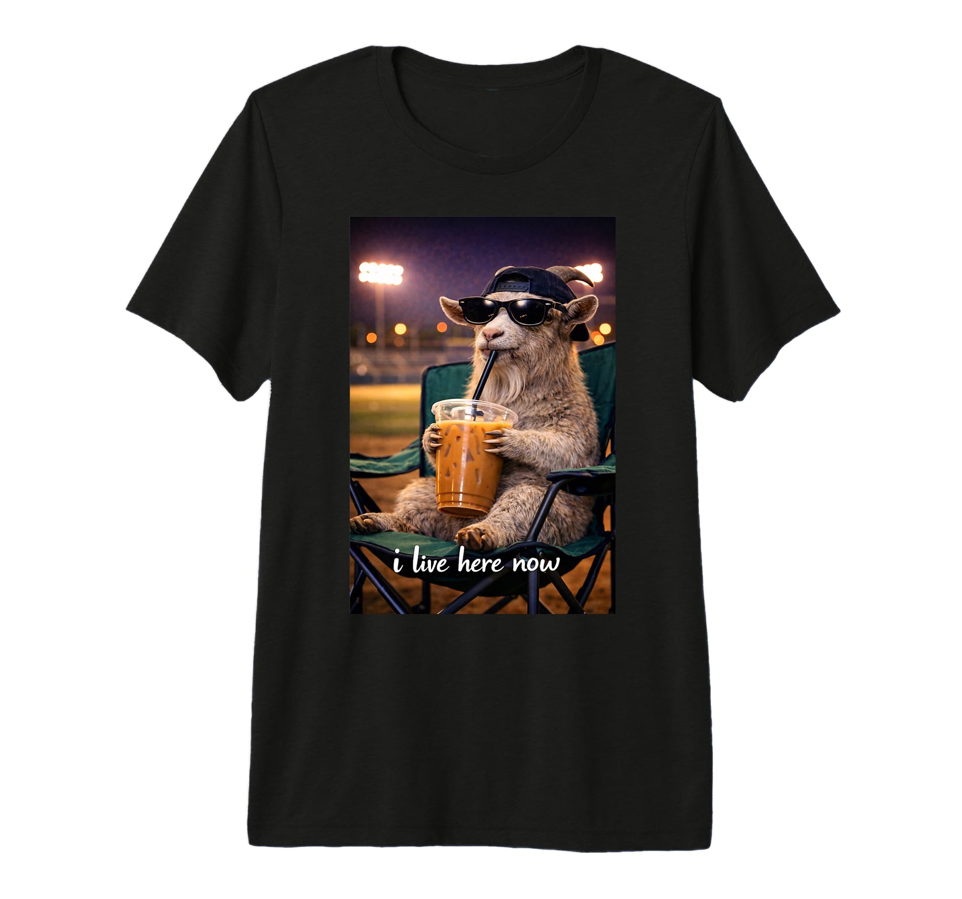Funny Goat Ballfield Baseball Field T-Shirt - Aesthetic Graphic for Adults - T-Shirt, Sweatshirt, Hoodie