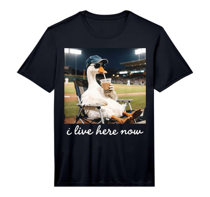 Funny Goose Ballfield Baseball Field I T-Shirt - Streetwear Style Unisex - T-Shirt, Sweatshirt, Hoodie