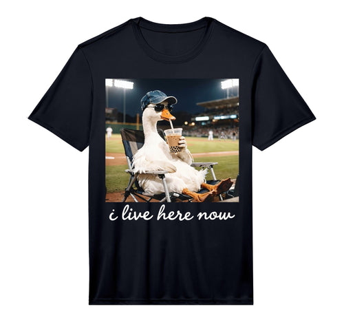 Funny Goose Ballfield Baseball Field I T-Shirt - Streetwear Style Unisex - T-Shirt, Sweatshirt, Hoodie