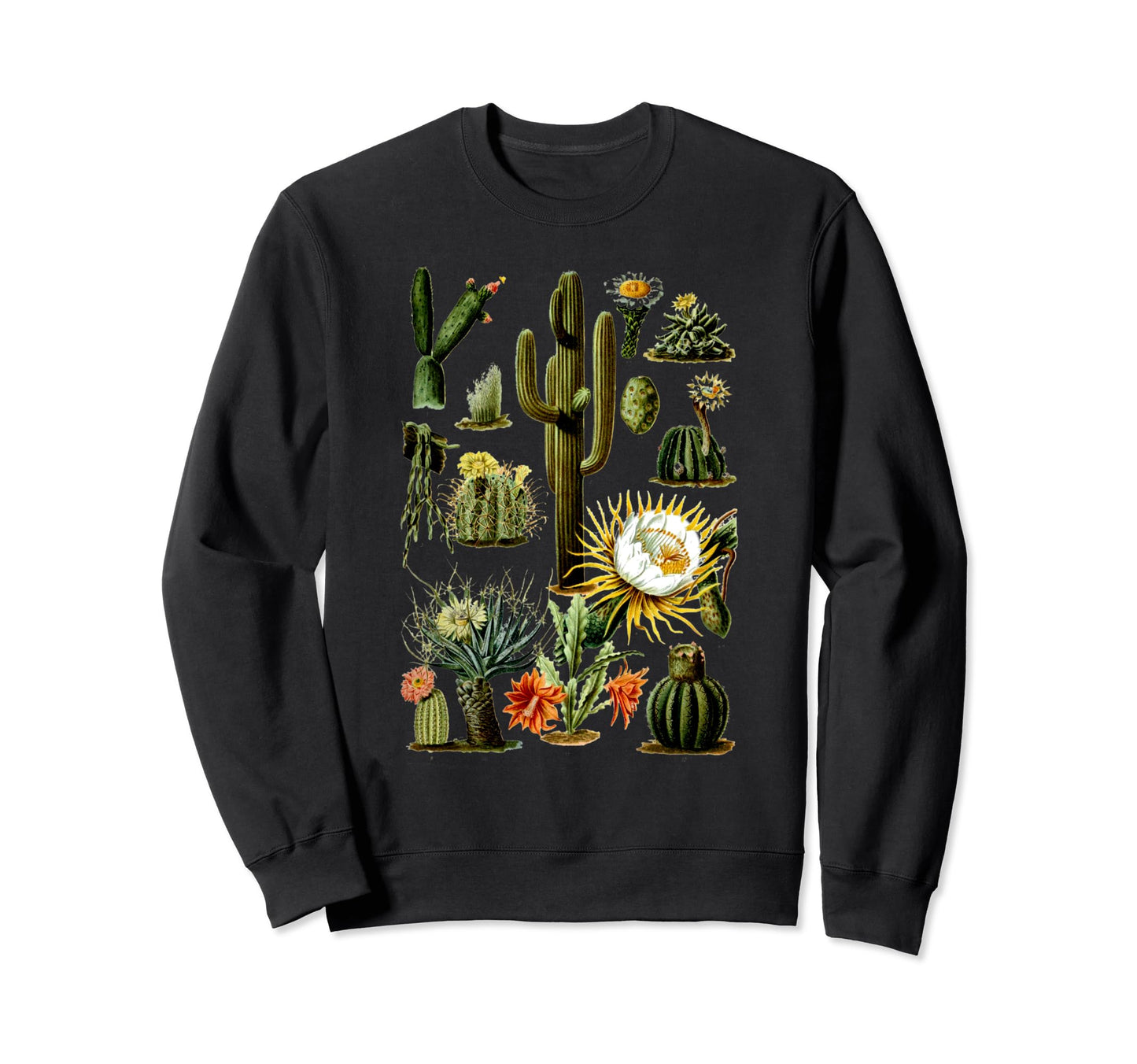 70S Boho Botany Botanical Cactus Sweatshirt - Unique Graphic for Adults - T-Shirt, Sweatshirt, Hoodie