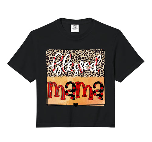 Blessed Mama Baseball Mom Softball Sweatshirt - Novelty Apparel Men Women - T-Shirt, Sweatshirt, Hoodie