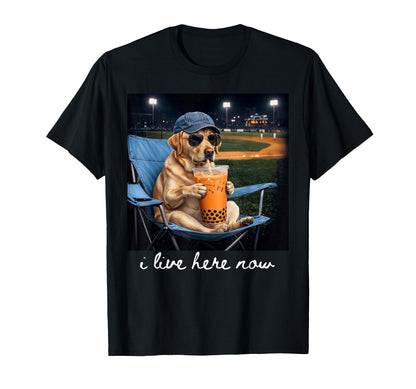 Labrador Drink Iced Coffee Baseball T-Shirt - Graphic Print for Adults - T-Shirt, Sweatshirt, Hoodie