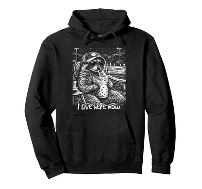 Baseball Lover Baseball Season Hoodie - Fun Novelty Design for Adults - T-Shirt, Sweatshirt, Hoodie