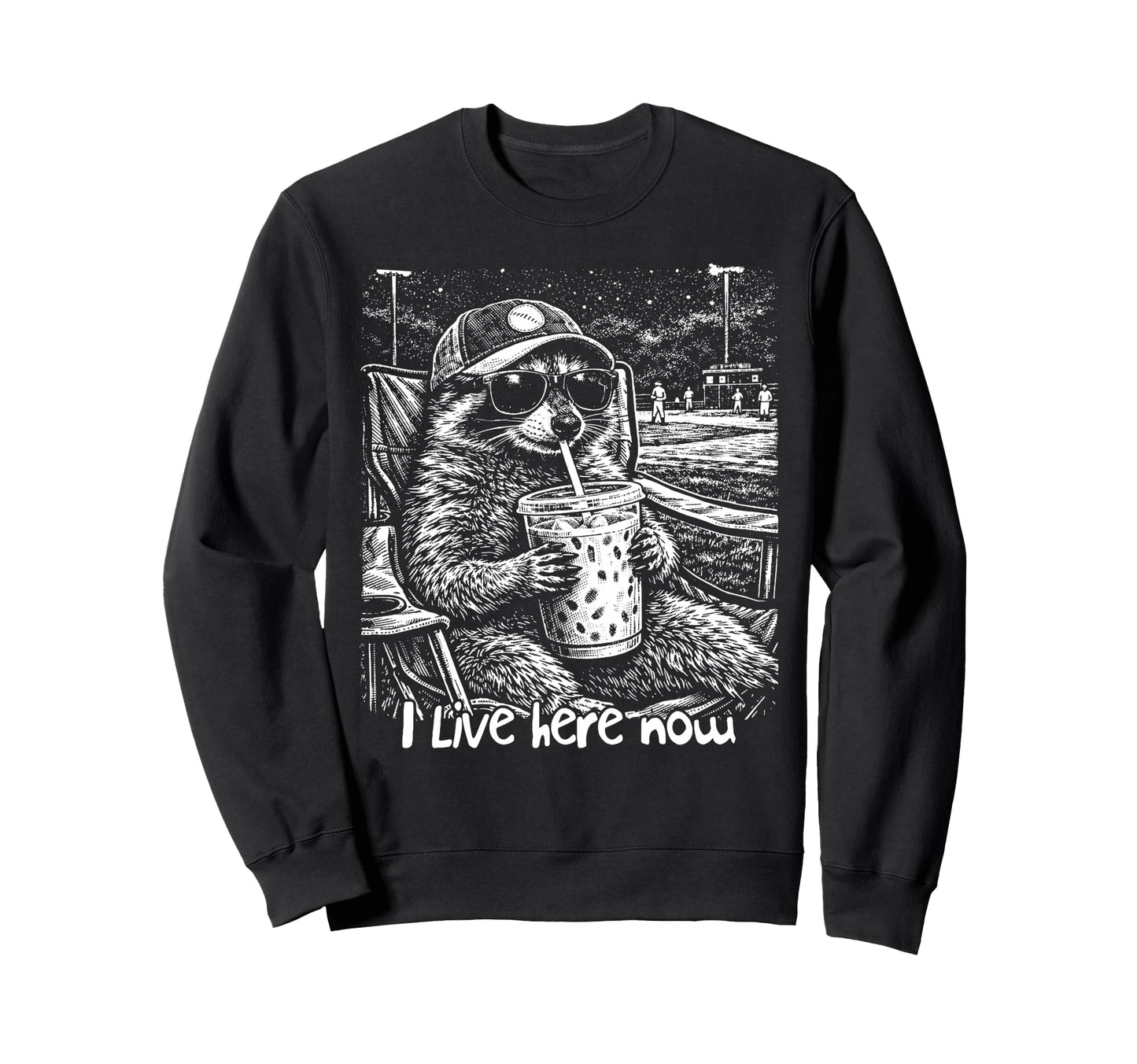 Baseball Lover Baseball Sweatshirt - Casual Everyday Wear for Adults - T-Shirt, Sweatshirt, Hoodie