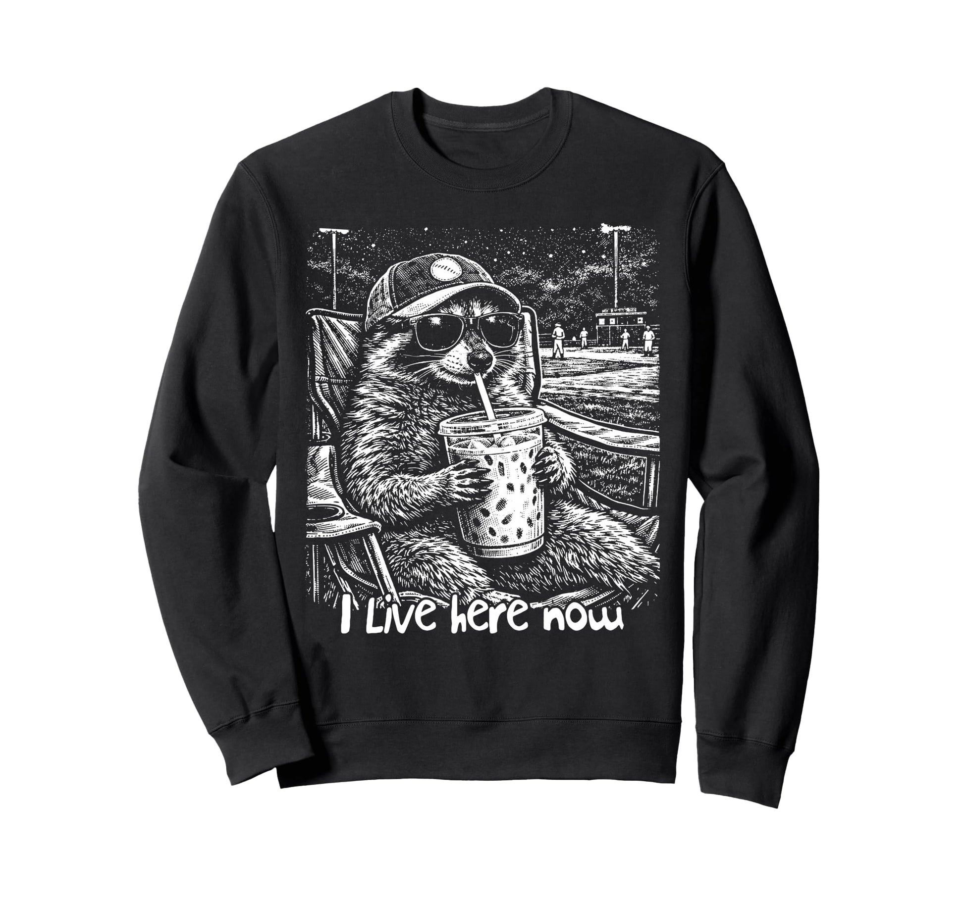 Baseball Lover Baseball Sweatshirt - Casual Everyday Wear for Adults - T-Shirt, Sweatshirt, Hoodie