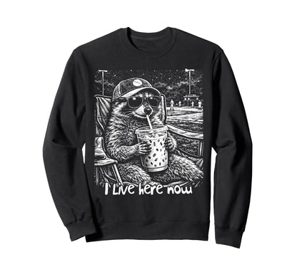 Baseball Lover Baseball Sweatshirt - Casual Everyday Wear for Adults - T-Shirt, Sweatshirt, Hoodie