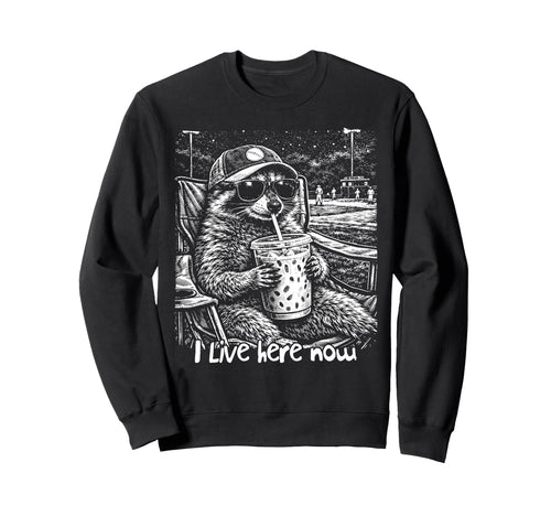 Baseball Lover Baseball Sweatshirt - Casual Everyday Wear for Adults - T-Shirt, Sweatshirt, Hoodie