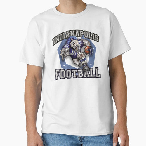 Indianapolis Football Detroit Lions Football T-Shirt - Graphic Print Unisex - T-Shirt, Sweatshirt, Hoodie