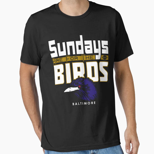 Baltimore Pro Football Sunday T-Shirt - Casual Everyday Wear Men Women - T-Shirt, Sweatshirt, Hoodie
