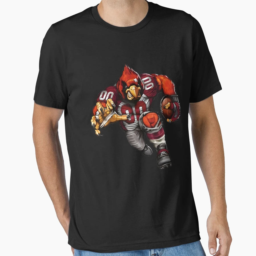 Cardinals00 Touchdown Arizona T-Shirt - Casual Everyday Wear Unisex - T-Shirt, Sweatshirt, Hoodie