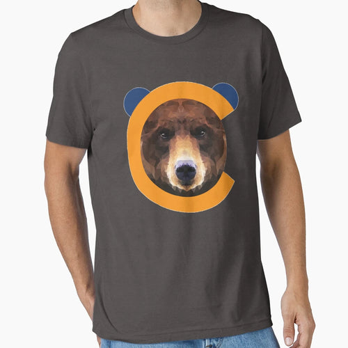 Chitown Bears Football T-Shirt - Trendy Graphic Unisex - T-Shirt, Sweatshirt, Hoodie