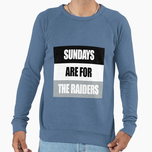 Sundays Are Raiders Sweatshirt - Fun Novelty Design Men Women - T-Shirt, Sweatshirt, Hoodie