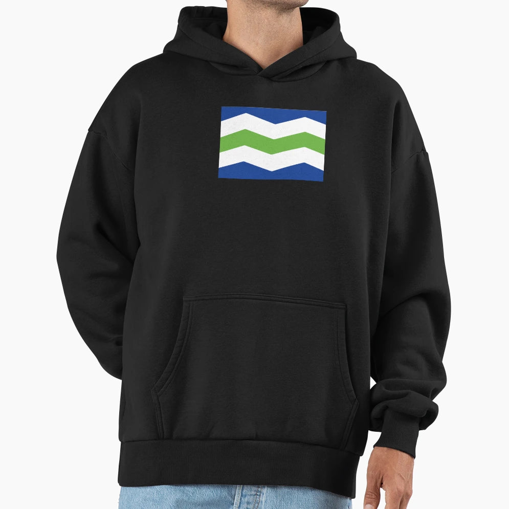 Flag Burlington Vermont Hoodie - Minimalist Print for Adults - T-Shirt, Sweatshirt, Hoodie