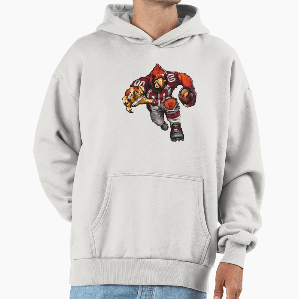 Cardinals00 Touchdown Arizona Hoodie - Aesthetic Graphic Men Women - T-Shirt, Sweatshirt, Hoodie