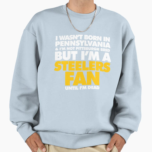 I Wasnt Born Pennsylvania But I Sweatshirt - Minimalist Print for Adults - T-Shirt, Sweatshirt, Hoodie
