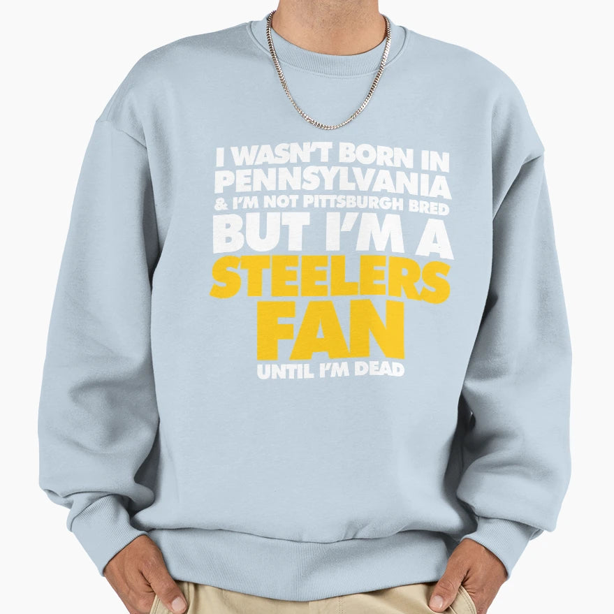 Reward Pittsburgh Football Sweatshirt - Trendy Graphic for Adults - T-Shirt, Sweatshirt, Hoodie
