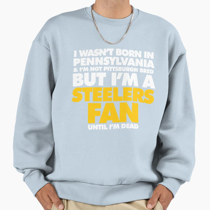 Reward Pittsburgh Football Sweatshirt - Trendy Graphic for Adults - T-Shirt, Sweatshirt, Hoodie