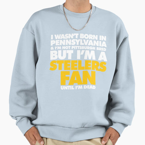 Reward Pittsburgh Football Sweatshirt - Trendy Graphic for Adults - T-Shirt, Sweatshirt, Hoodie