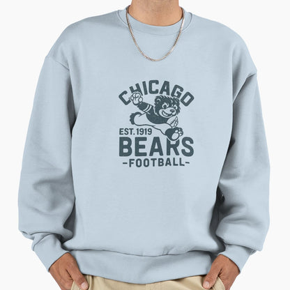 Chicago Bears Shirts Chicago Bear T-Shirt - Graphic Print for Adults - T-Shirt, Sweatshirt, Hoodie