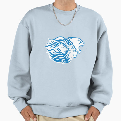 Widener Pride Sweatshirt - Fun Novelty Design for Adults - T-Shirt, Sweatshirt, Hoodie