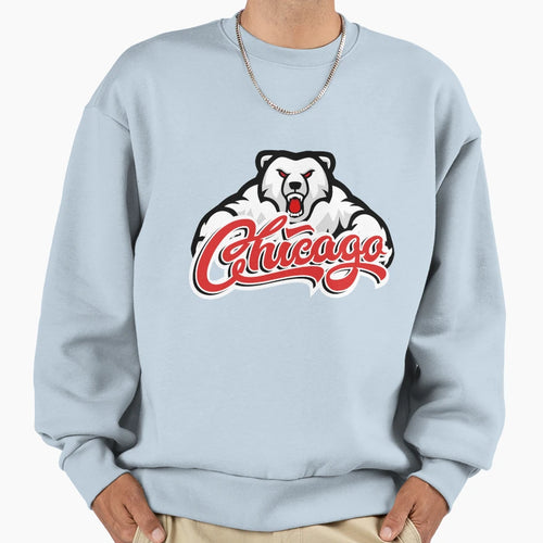 Bears Football 2023 Sweatshirt - Trendy Graphic for Adults - T-Shirt, Sweatshirt, Hoodie