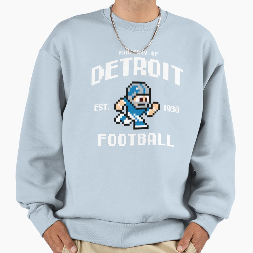 Property Detroit Lions Football Sweatshirt - Streetwear Style for Adults - T-Shirt, Sweatshirt, Hoodie