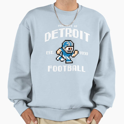 Property Detroit Lions Football Sweatshirt - Streetwear Style for Adults - T-Shirt, Sweatshirt, Hoodie