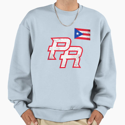 Puerto Rico 2023 Baseball Flag Pride Pr T-Shirt - Graphic Print for Adults - T-Shirt, Sweatshirt, Hoodie
