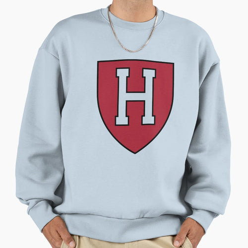 Academic Shield Logo University Sweatshirt - Aesthetic Graphic Men Women - T-Shirt, Sweatshirt, Hoodie