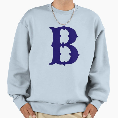 Brooklyn Sweatshirt - Trendy Graphic for Adults - T-Shirt, Sweatshirt, Hoodie