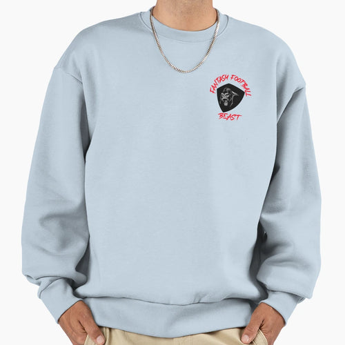 Fantasy Football Beast Sweatshirt - Casual Everyday Wear Unisex - T-Shirt, Sweatshirt, Hoodie