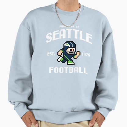 Property Seattle Seahawks Football Sweatshirt - Streetwear Style Men Women - T-Shirt, Sweatshirt, Hoodie