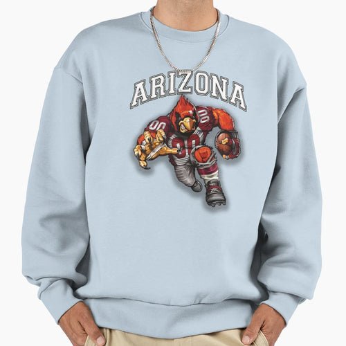 Arizona Football Detroit Football Sweatshirt - Aesthetic Graphic Unisex - T-Shirt, Sweatshirt, Hoodie