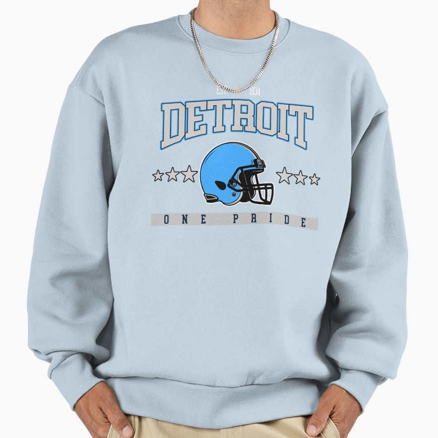 Detroit Lions One Pride T-Shirt - Custom Art Print for Adults - T-Shirt, Sweatshirt, Hoodie