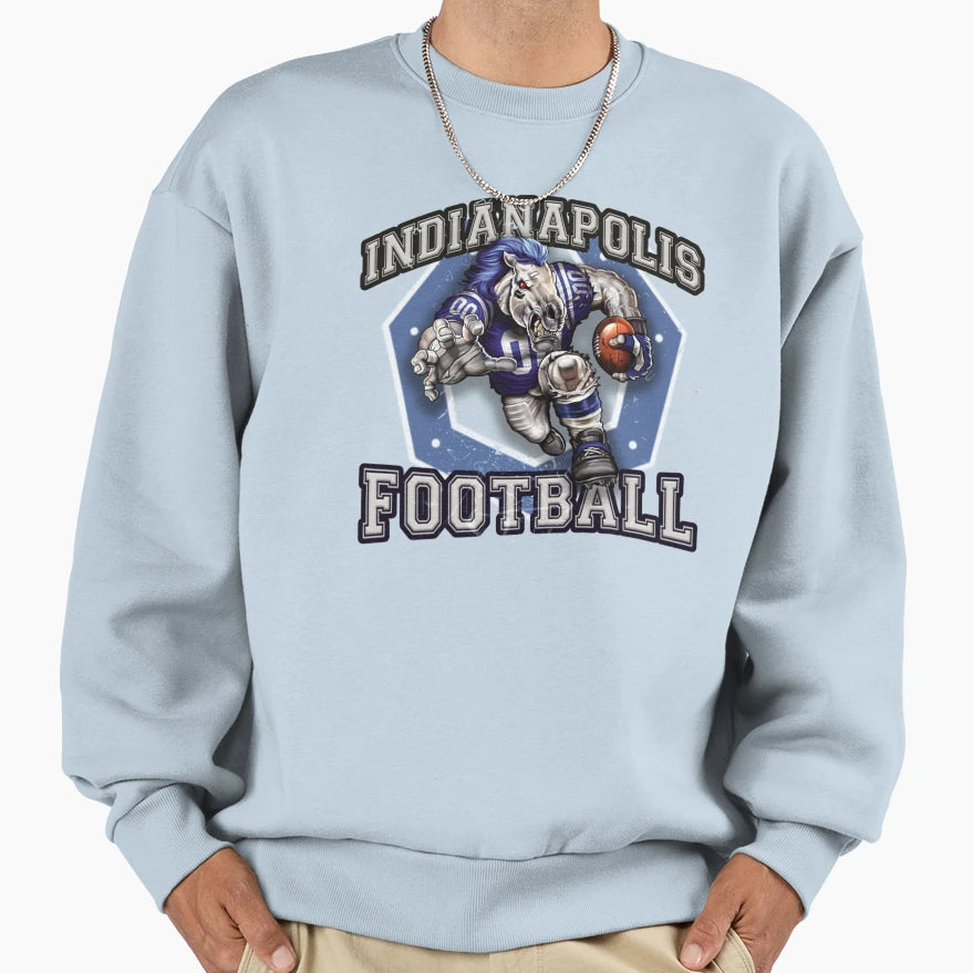 Indianapolis Football Detroit Lions Sweatshirt - Graphic Print for Adults - T-Shirt, Sweatshirt, Hoodie