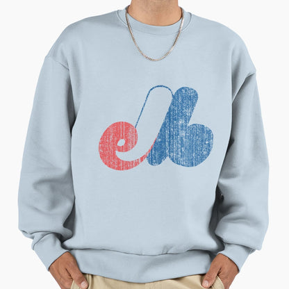 Montreal Expos Sweatshirt - Custom Art Print for Adults - T-Shirt, Sweatshirt, Hoodie