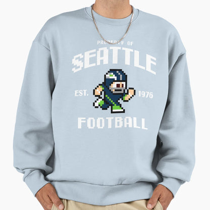 Property Seattle Seahawks Football Sweatshirt - Custom Art Print Unisex - T-Shirt, Sweatshirt, Hoodie