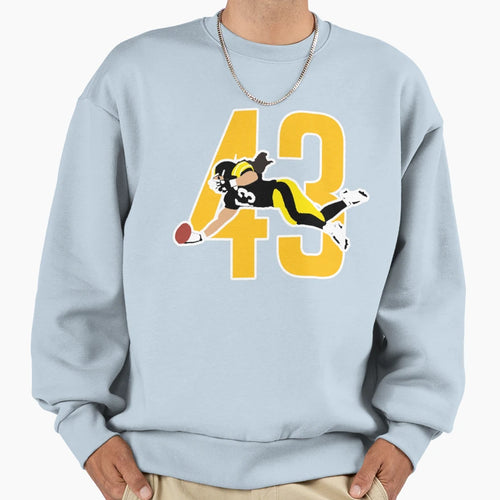 Steel Curtain Sweatshirt - Streetwear Style for Adults - T-Shirt, Sweatshirt, Hoodie