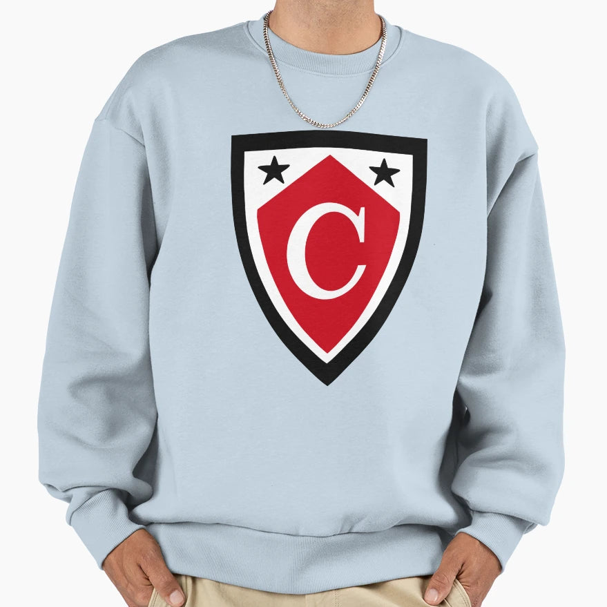 Capella University 1 Sweatshirt - Fun Novelty Design for Adults - T-Shirt, Sweatshirt, Hoodie